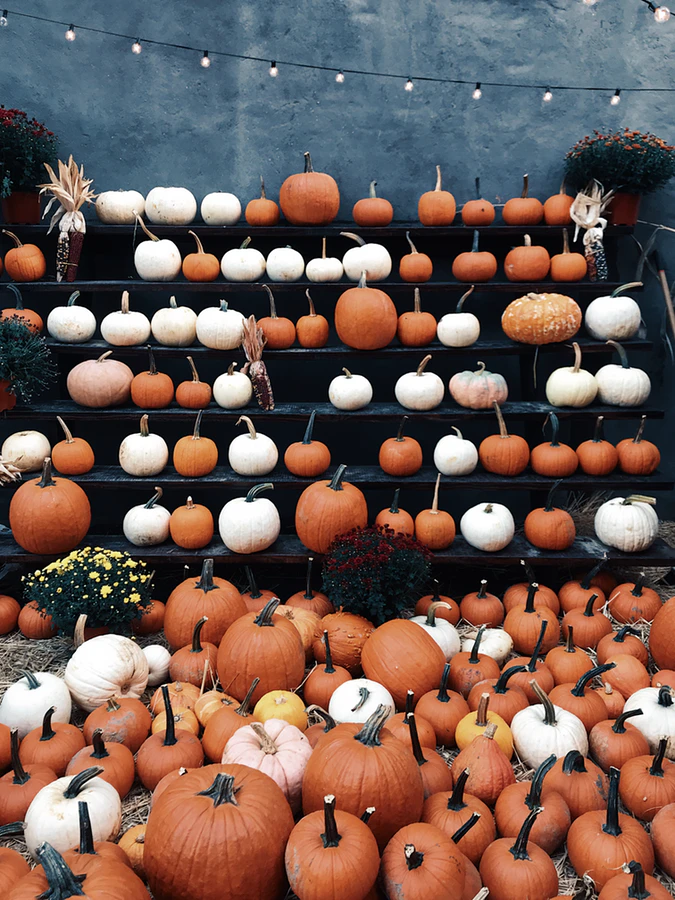 pumpkins