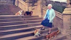 Queen and her corgis