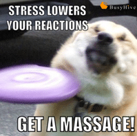 stress lowers your reactions