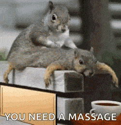 squirrel massaging another squirrel