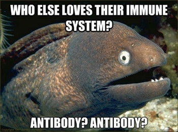 antibody meme