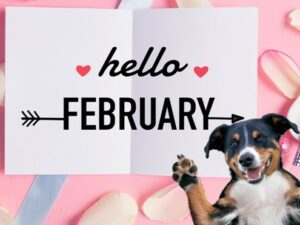 A dog waving "hello February"
